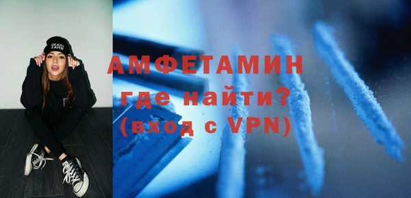 шишки Надым