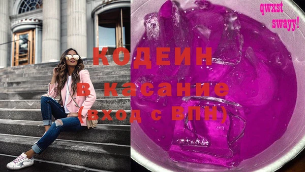 шишки Надым