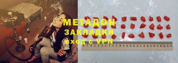 шишки Надым