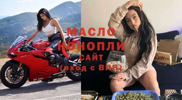 шишки Надым