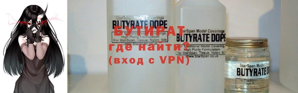 шишки Надым