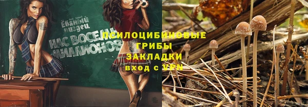 MDMA Нефтекумск