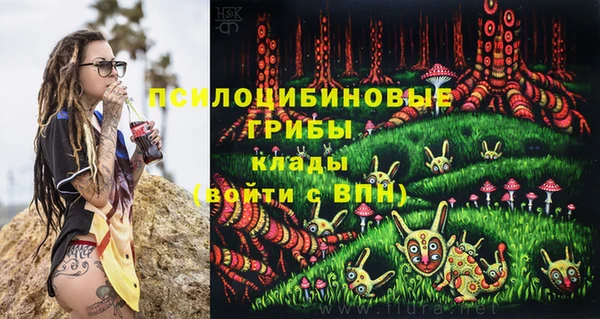 шишки Нея