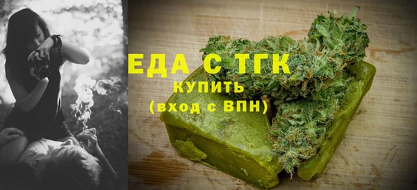 шишки Надым
