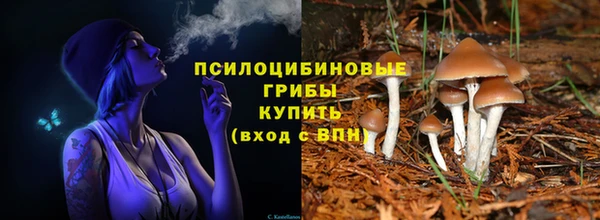 гашик Наволоки