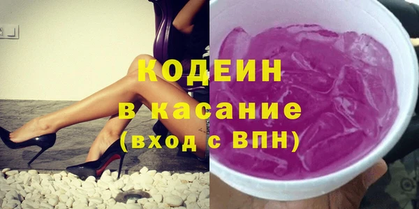 шишки Надым
