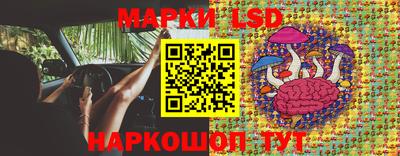 индика Новокубанск