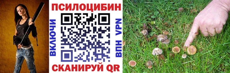Псилоцибиновые грибы ЛСД Павлово