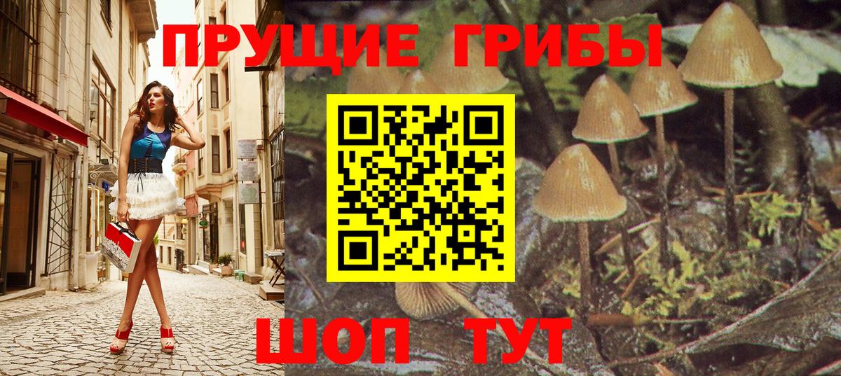 Галлюциногенные грибы прущие грибы  Галлюциногенные грибы GOLDEN TEACHER  Вход с VPN  Павлово 